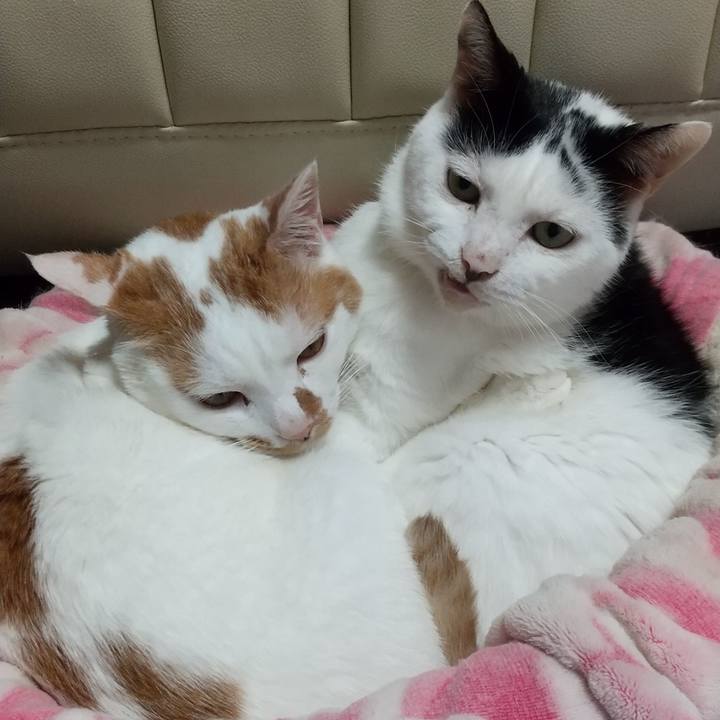 B161dfcd 6fa6 482a ace1 350fe9c0b18f 1699342607676