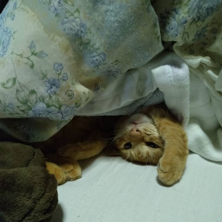 B16257a8 bba4 4c56 8738 67517a55e7d4 1664948921683