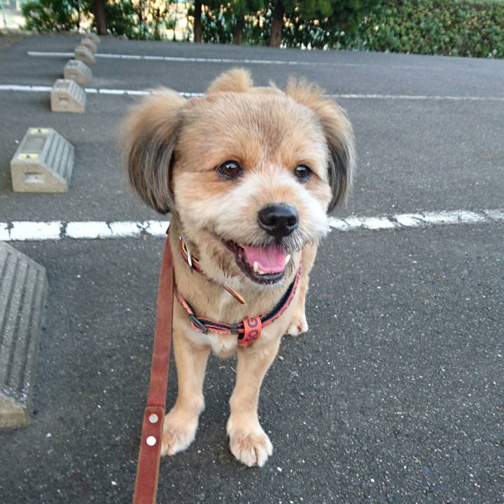 B16266ab ae8c 41ae 8c98 0a0e2ce6ec9f 1533121930961