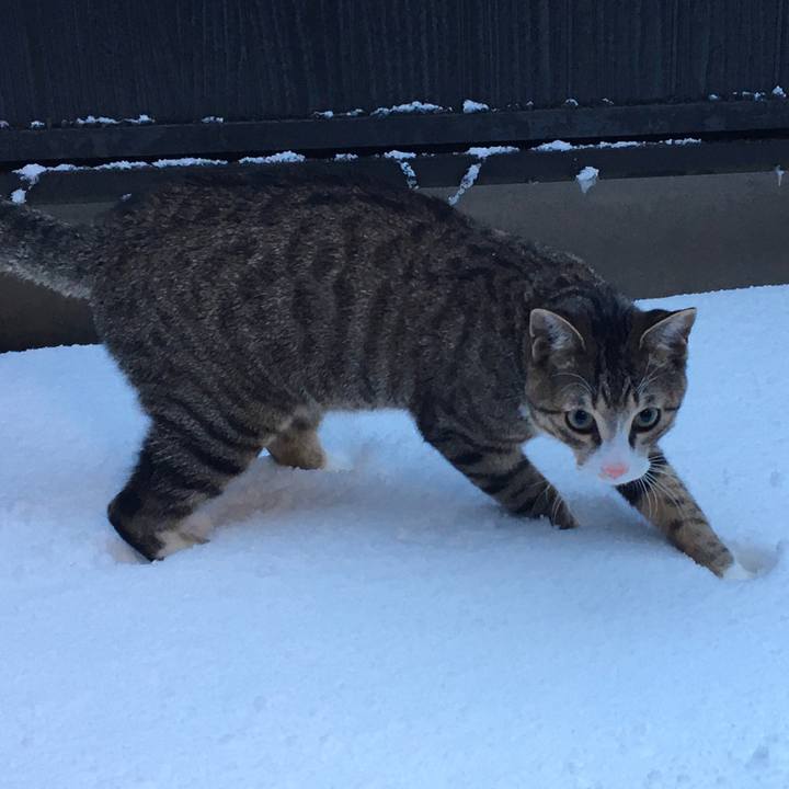 B1627293 81af 4e3c b6e0 ab41f01edf9c 1674778187776