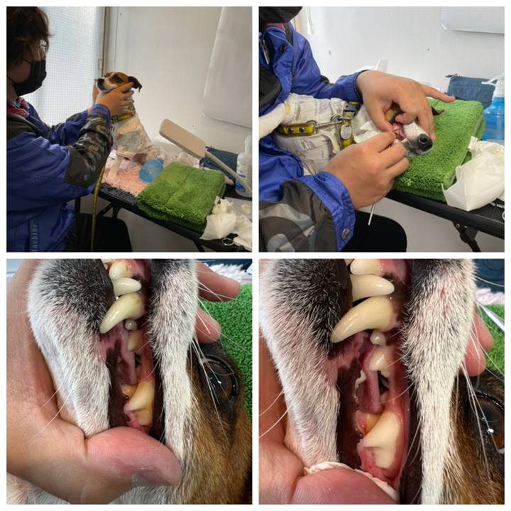 B162a0ab 8922 4e4d 86ec ef56b1f68dac 1644233558027