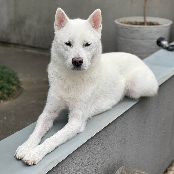 B162a2de 173e 4a9e a9c6 6afbc51083fd 1678594607838