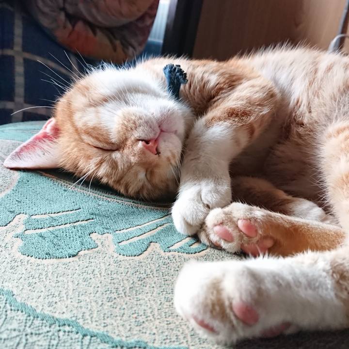 B162c4cb ecfd 4965 b0a6 2086352528fa 1567556597320