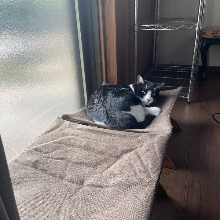 B162eec6 9525 4ba2 9a51 6ab6ece2efd9 1728876293090