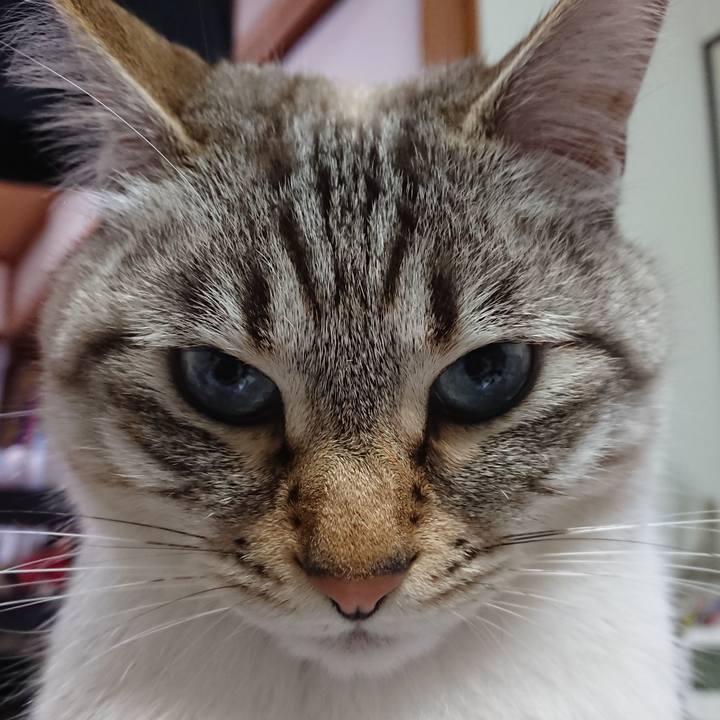 B1630f4f 07d1 4026 977c 4353593d09a1 1583837838286