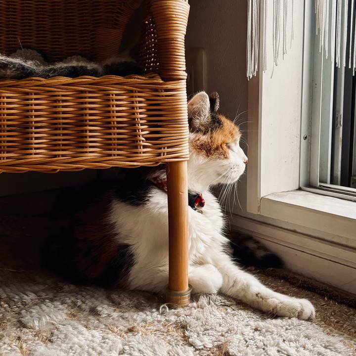 B1631307 fd9a 4e98 8408 4de1dc2c400a 1729132812816