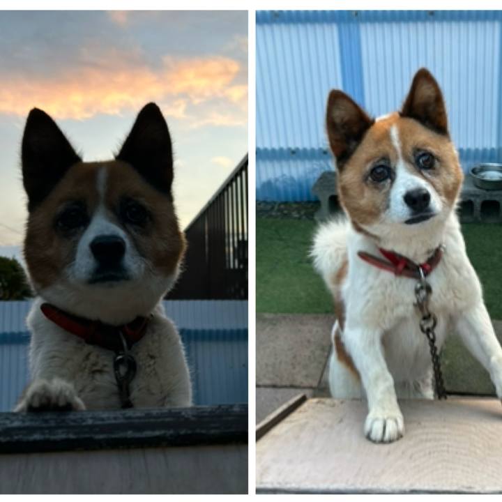 B163340a d63c 4cbb 8a4d 0dd5714ff205 1764020078165