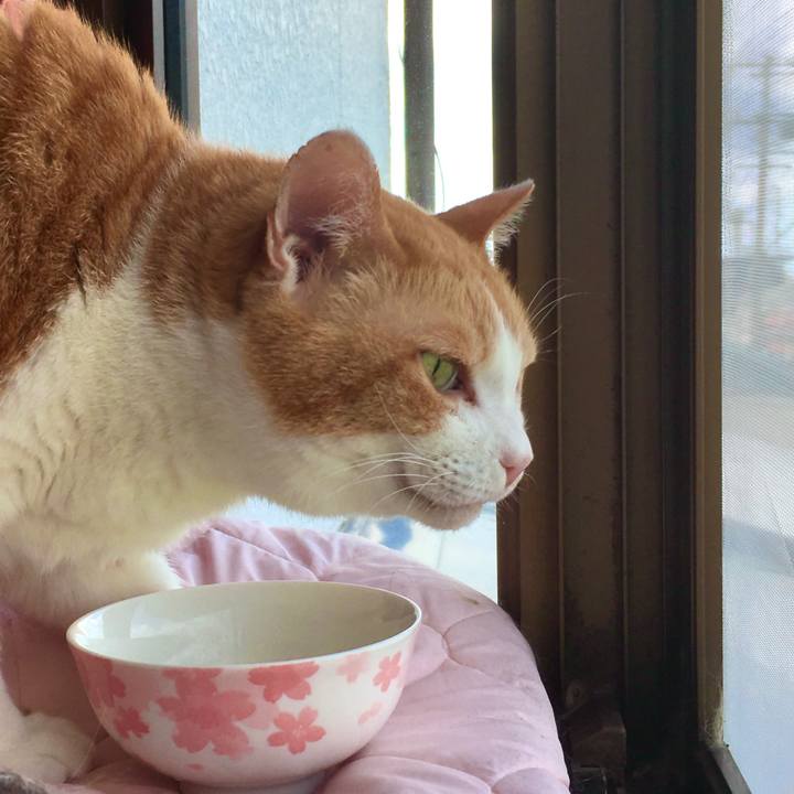 B16354ab 6b16 4ed5 84a2 c7d505e1b26d 1634184376644