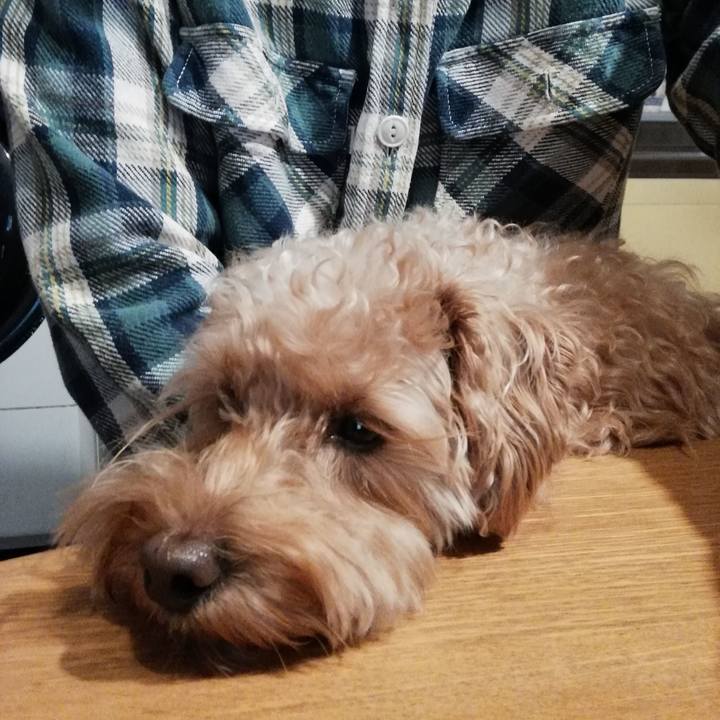 B16369c1 18a9 4fdd a222 45cab2deb1f5 1541022023677