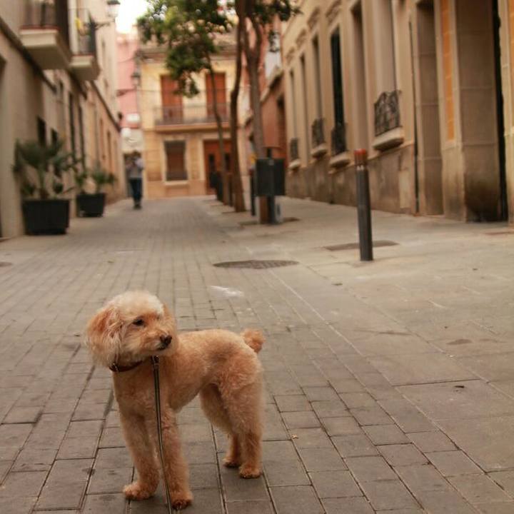 B163884b 50de 453a 9979 43b89467c139 1591615599654