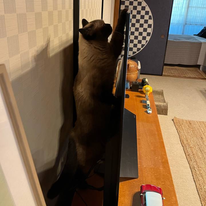 B163b699 ed55 45a1 b0f6 bf79d68a8a99 1693199203021