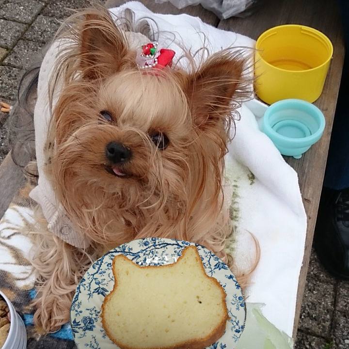 B1640480 4899 4e0c 8beb f5432d150de6 1618228780915