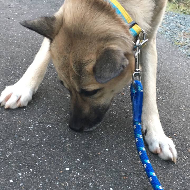 B1643370 76c5 44a9 8c9a 58f3419db225 1514378831820