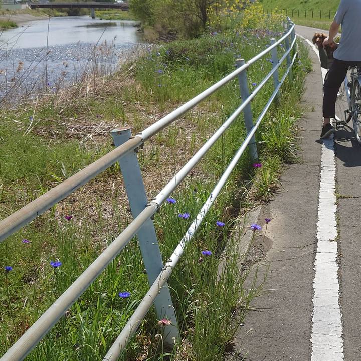 B1644e3f 4eaa 4206 b3c5 1f7635234a44 1681620004559