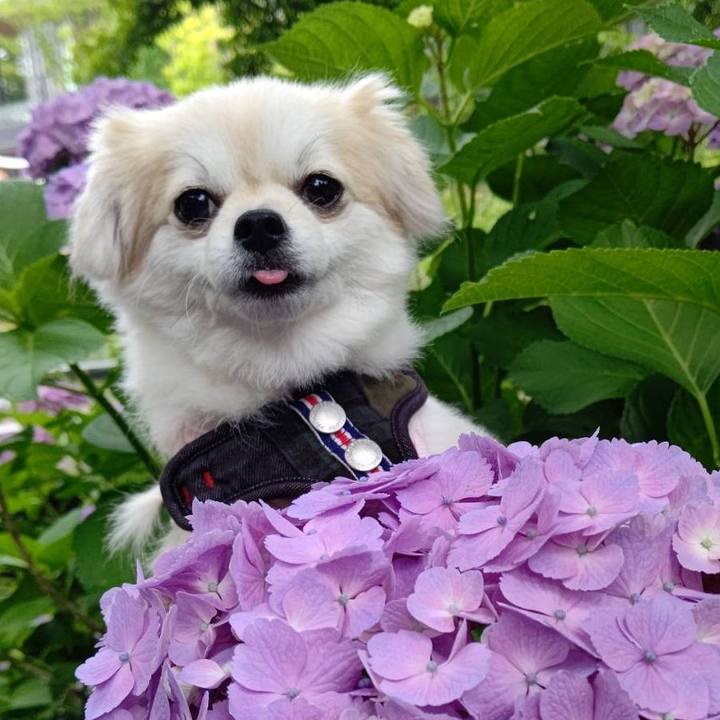 B164cd0b c053 4770 b4bd 317055648e41 1687611611704