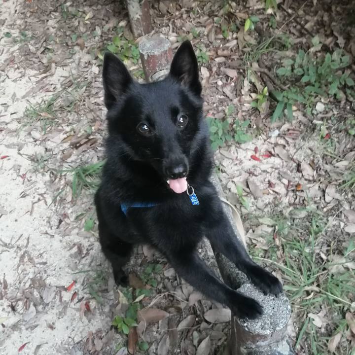 B164e71e db9e 4405 b8cb 11e8d970e8ca 1634161005606