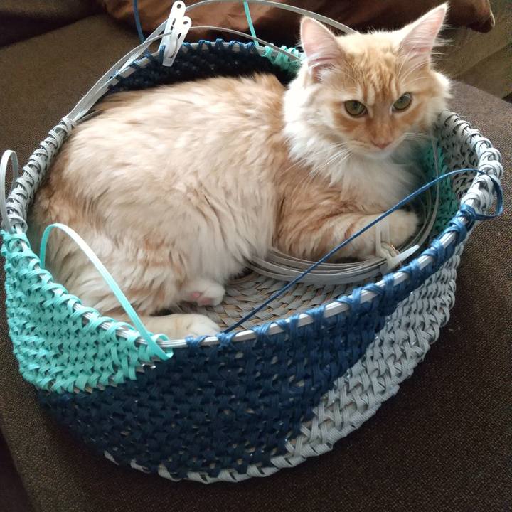 B1654146 e3eb 476f 9253 079dcdbb1b68 1624835736831