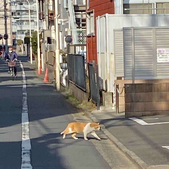 B16541fa 6643 473f b37b e077d1b0ba7f 1613221260387