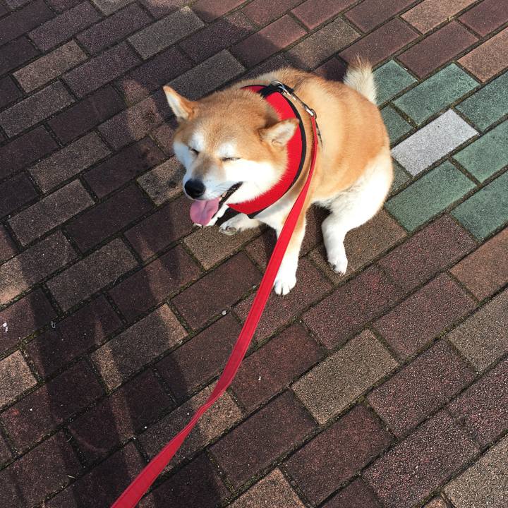 B16545b3 b03e 472d 864e 6a6892694dbf 1596497521266