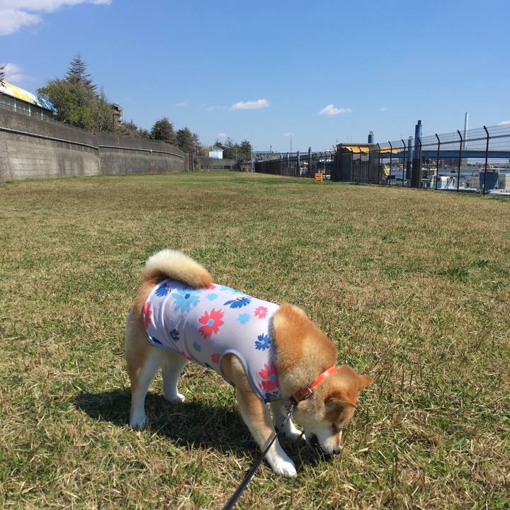 B1655d2e 036b 46e1 9c4a b048f2ee7135 1554177029860