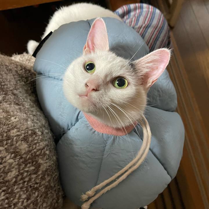 B1659d67 8173 4883 b1d0 bb05f8fb712d 1760482143934