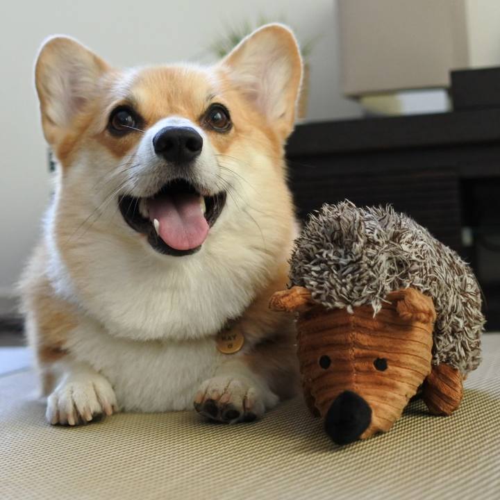 B165ba31 b219 4183 aa8c 1d42eeb34dc9 1565948881187