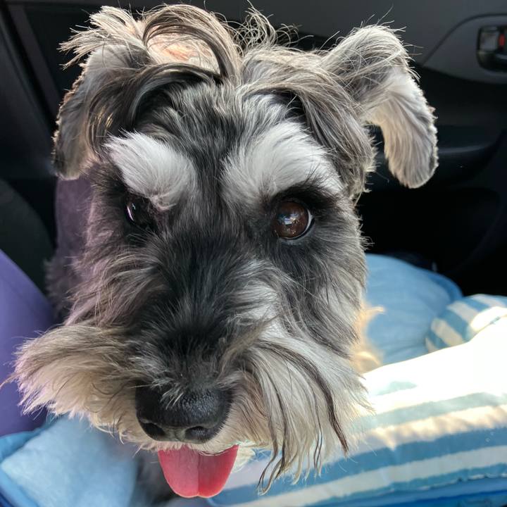 B165c243 4057 4ea1 839e 546915e2efca 1731563258867