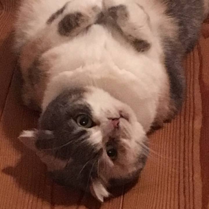 B165de7c af75 4a76 9d34 edba9acdce62 1563018706300