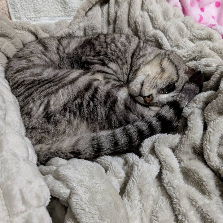 B166406a 6c5e 4db7 bdf9 8eaaaf46c9df 1742484720680