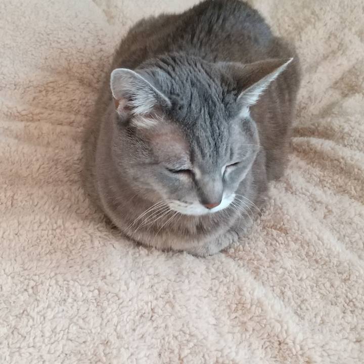 B1665a5d 24fd 4b60 b895 1af86a3a41c5 1645575672618