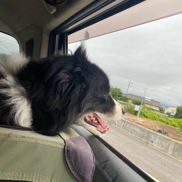 B1666f1a 32e3 409f bfa9 f1670ccefe95 1687903143068