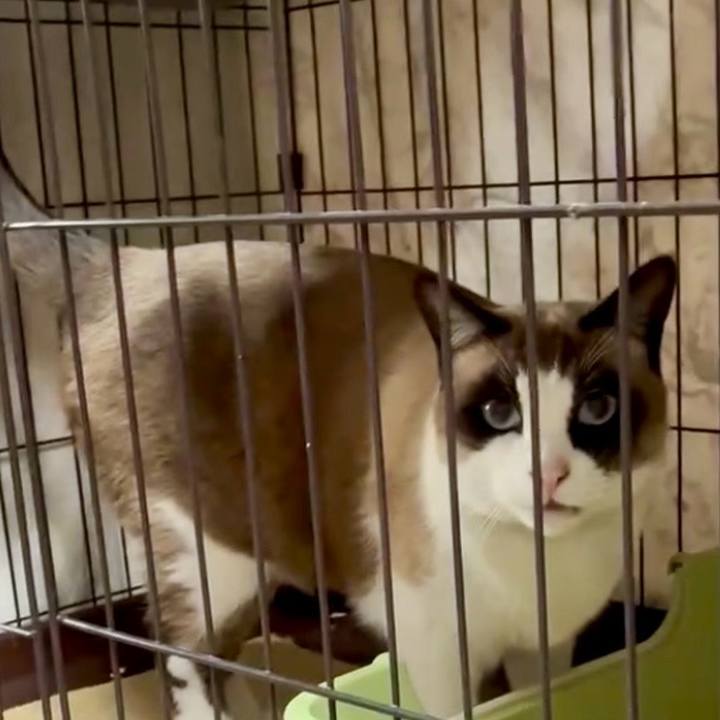 B16690bb 6fac 452b 8cd7 46e88a9d45ac 1768448779738