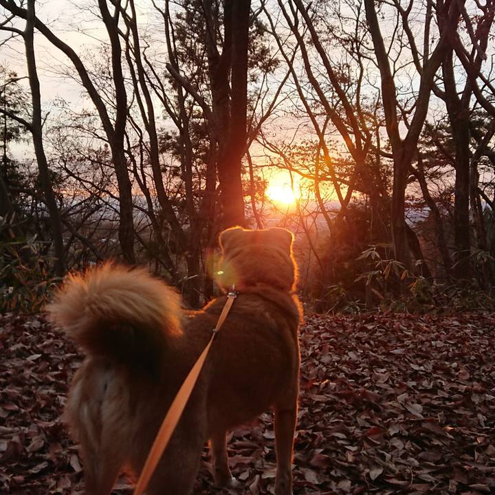 B166a4fd 7331 4e31 a549 4e21afa6d2ab 1639140103064