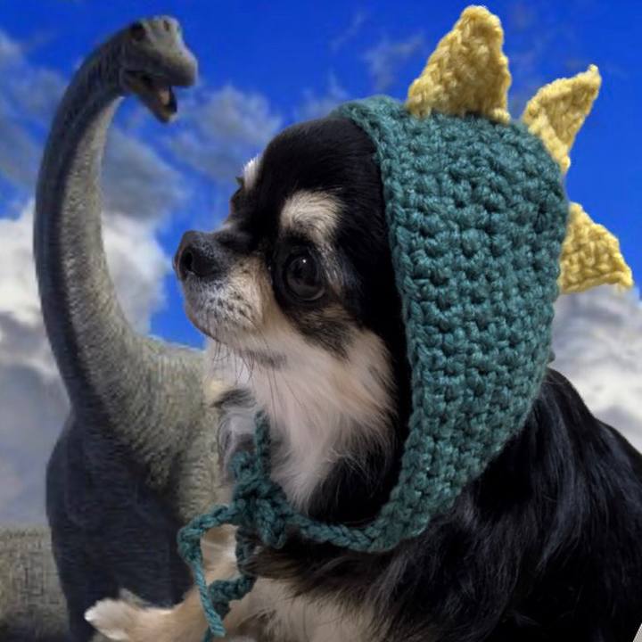 B166c1a0 c880 402b a1c5 f1dd0e45cea7 1668860965756