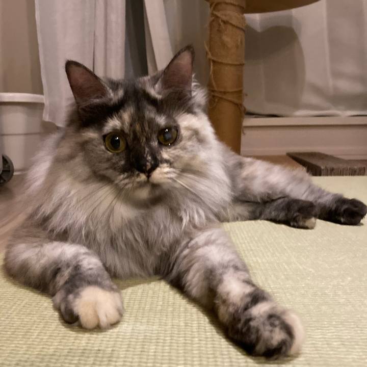 B166c807 657a 46e4 a8c2 8c8ed10c9d21 1742823219039