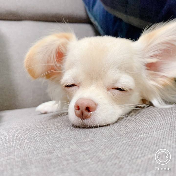 B166d603 97f8 4113 94c0 f3d7a4aa91b2 1601627842213