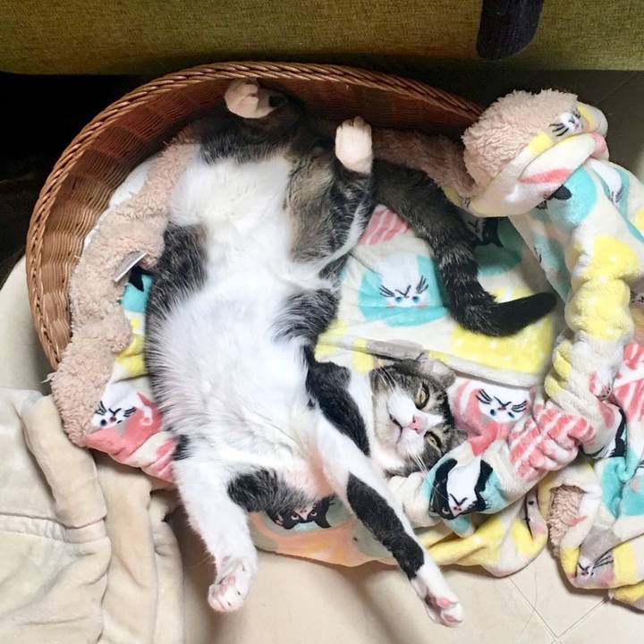 B16701d6 bbce 463a b918 e9b190796f7c 1515582159882