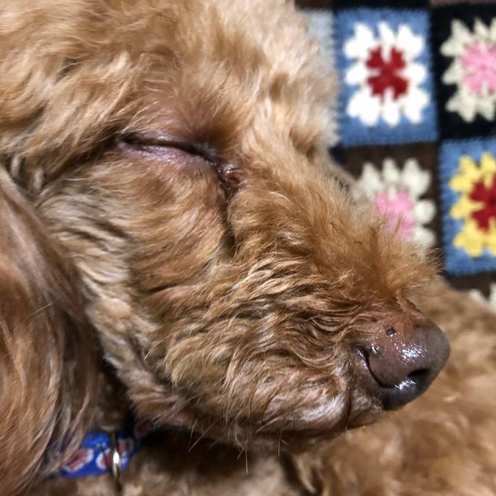 B1671f69 04cd 454d bce0 9c0577322bd1 1584925874298