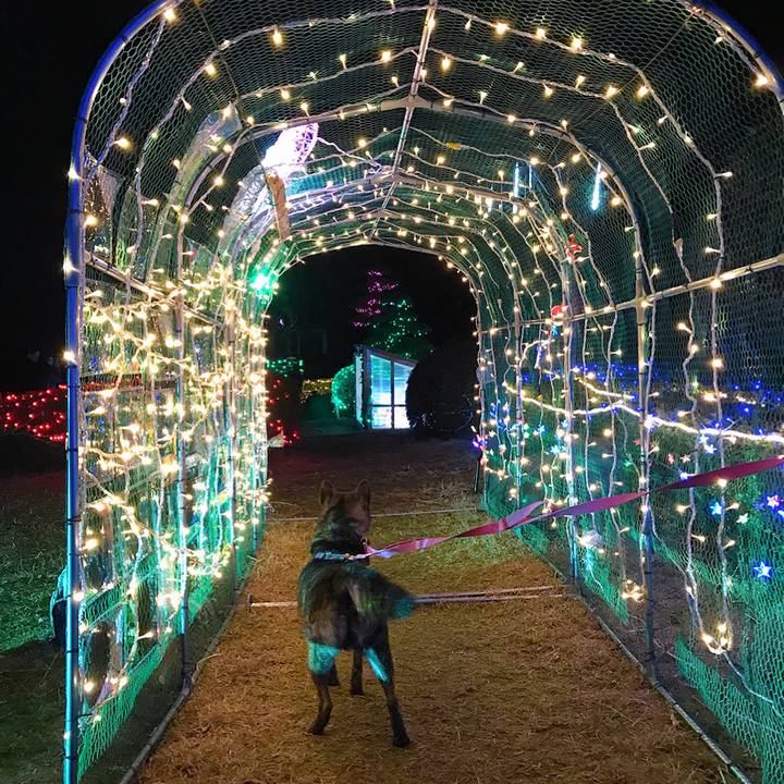 B167348d 24be 4be7 b5dc 85183b97def7 1514038468365