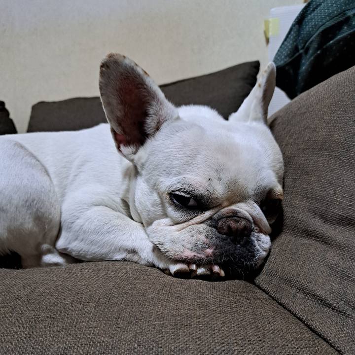 B167880e 7adc 4395 a2e1 15522446b98f 1717195067255