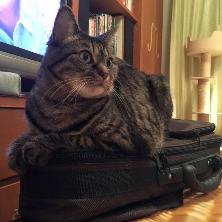 B1679821 fd6b 4d66 a6dd a55db685ede7 1761258005324