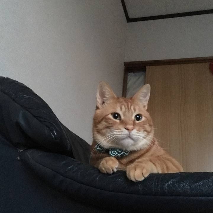 B167983d cce2 4e4a b53e 45e412c1c985 1551790602787