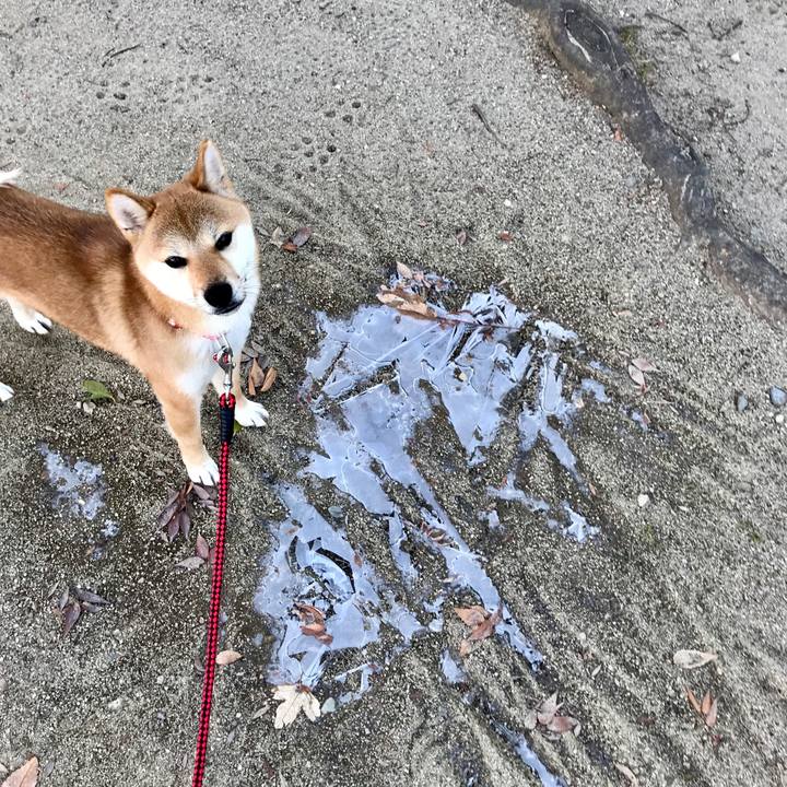 B167c9c5 7066 42e2 95b1 054f8b6ea3b9 1515754642815