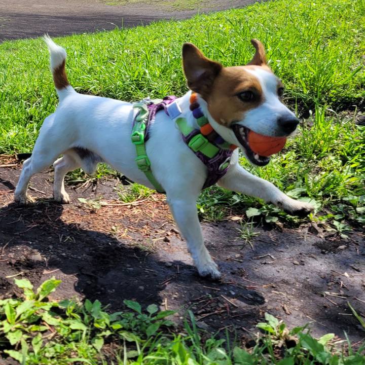 B167df1a 57a3 4a88 9b95 ce4fff9d09a3 1650887512972