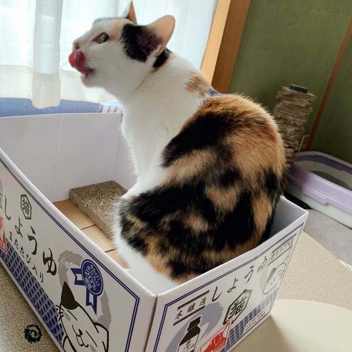 B1680ecf 97ca 4305 86bf 1471634de7b5 1542508339010