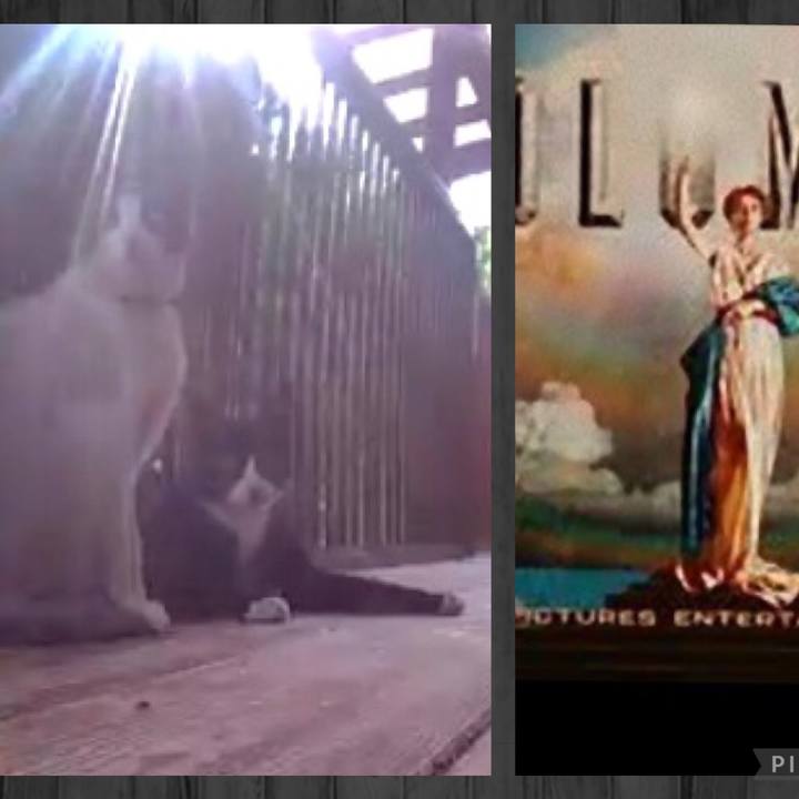 B16831ca a8ac 434d 9ed4 b47ff4cd2031 1734722344242