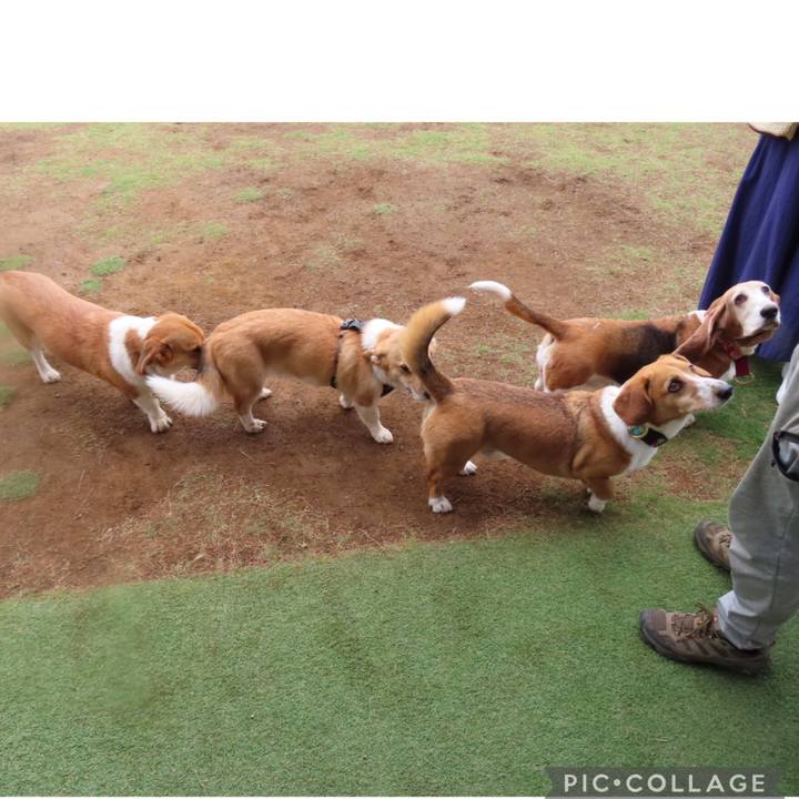 B168361c 41ec 4488 9dc8 2b9f71729013 1621177769970