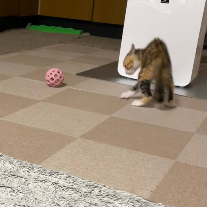 B168796f 90ea 4de2 bb11 24e3f1b4b078 1652445411824