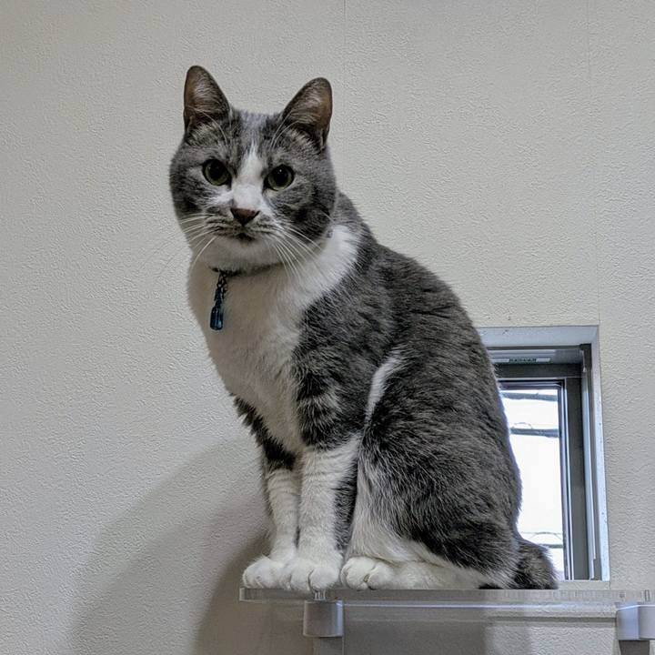 B168d59f a9f2 4c31 b7fd c2b28f727c6b 1768824452180