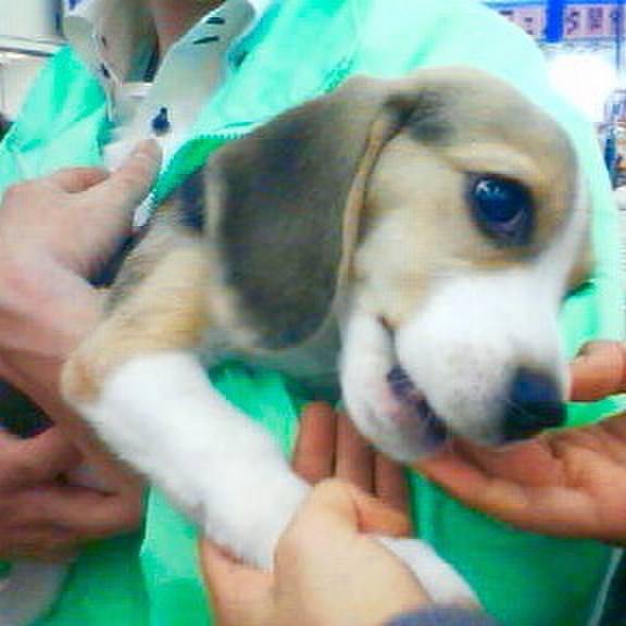 B168e4ca 557c 4a96 ae66 81a7cc625d7f 1549943136595